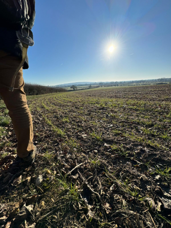 one of the field in the proposed Botley West Solar Farm