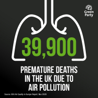 Air Pollution Kills