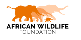 African Wildlife Foundation