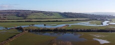 Eynsham Nature