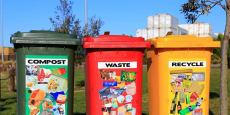 Reducing Food Waste