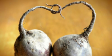 Love Food Hate Waste