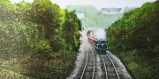 Steam Trains to Green Chains