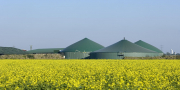 Biomass and Bioenergy