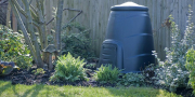 Black Gold - Compost