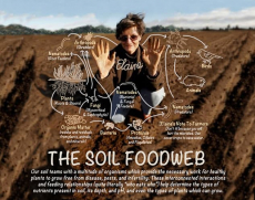 Soil Regeneration Summit